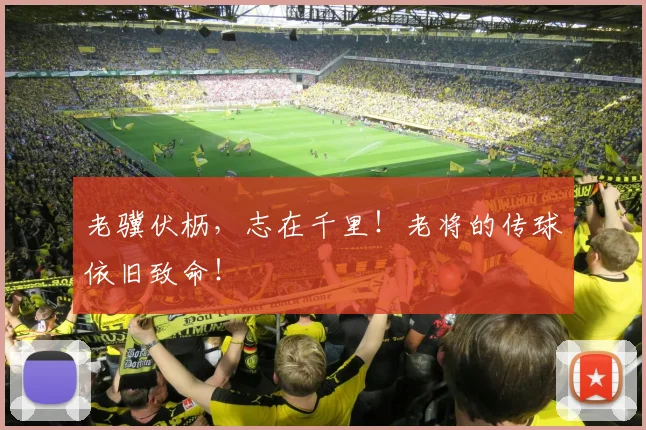 老骥伏枥,志在千里!老将的传球依旧致命!